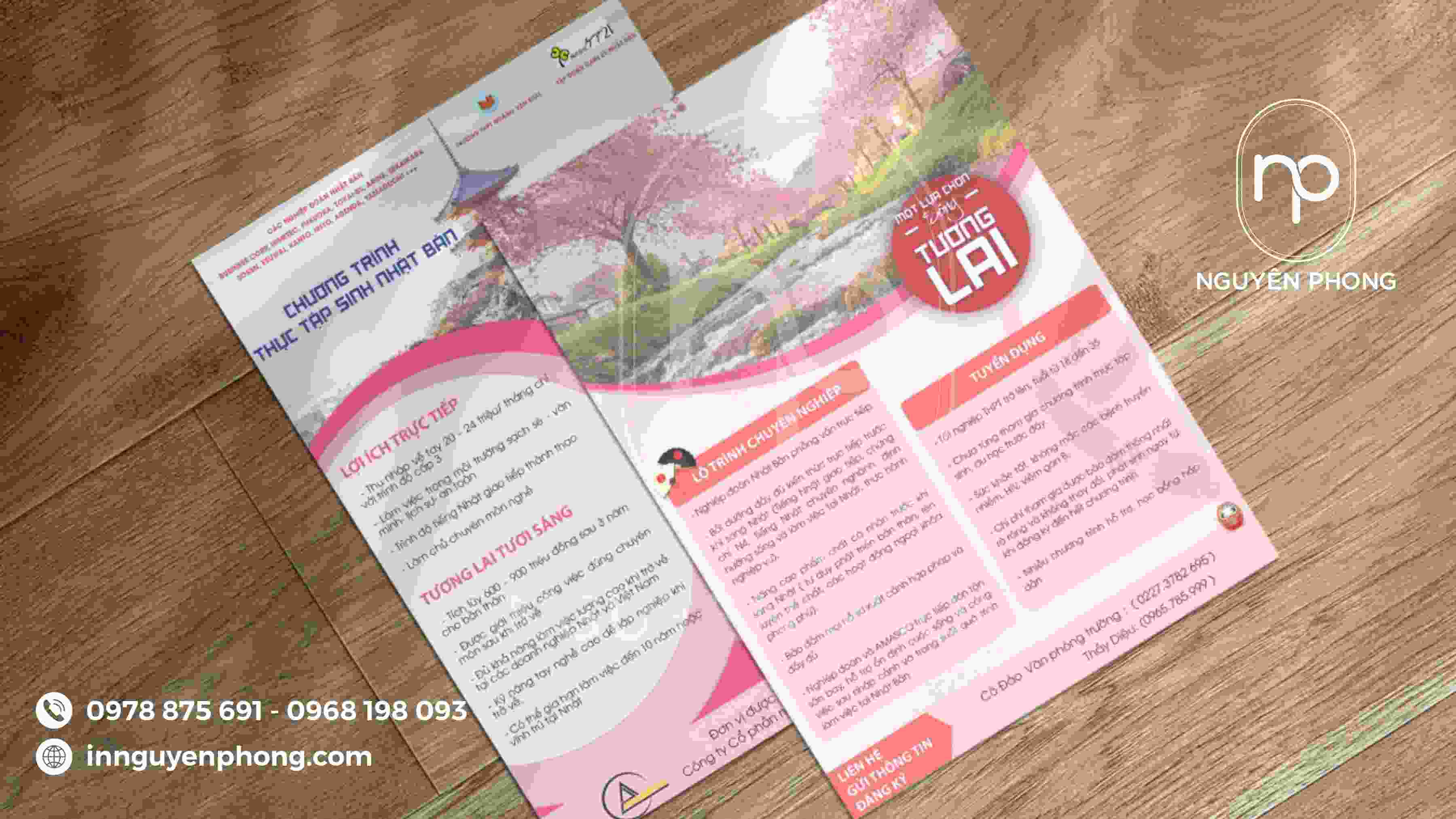 Tờ Rơi Du Học - Khám Phá Cơ Hội Và Trinh Phục Ước Mơ